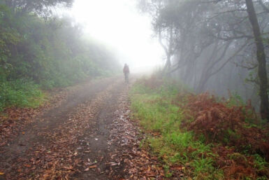 Auf dem Kammweg Cumbre Nueva.