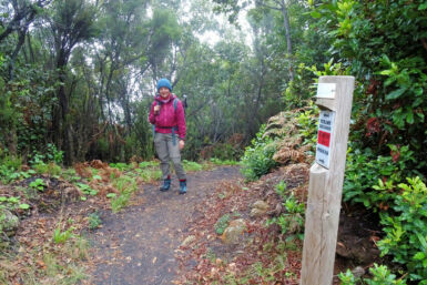 Auf dem Kammweg Cumbre Nueva.