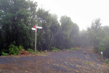 Auf dem Kammweg Cumbre Nueva.