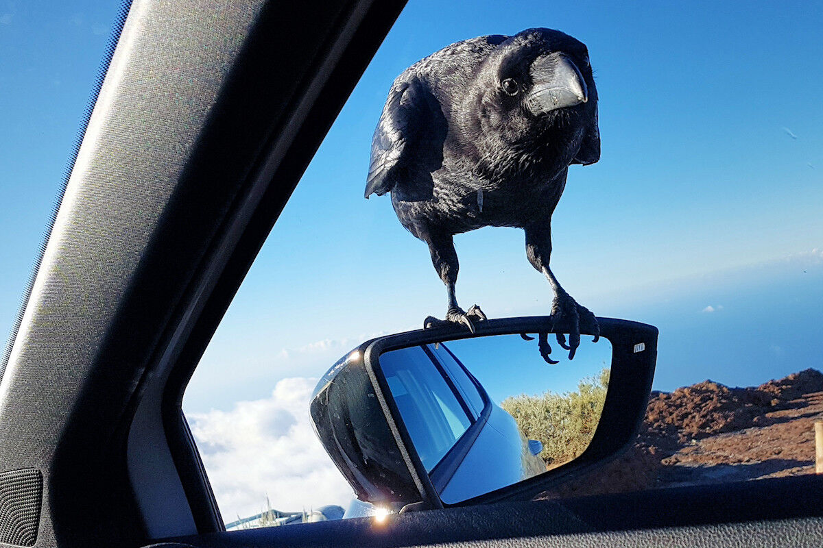 Roque de los Muchachos.