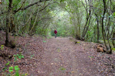 Auf dem Rückweg nach La Zarza.
