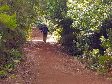 Auf dem Rückweg nach La Zarza.