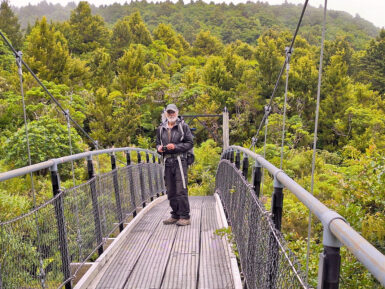 Hängebrücke über den Kapuni Stream.
