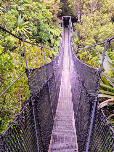 Waingongoro Swingbridge.